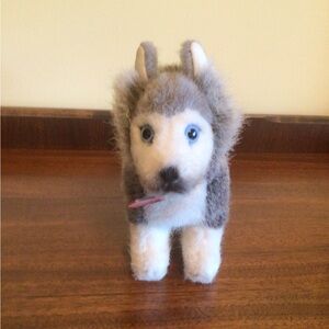 Kosen Husky Dog
